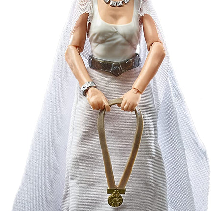 Star Wars The Black Series Princess Leia Organa (Yavin 4) Toy 6-Inch-Scale A New Hope Collectible Action Figure