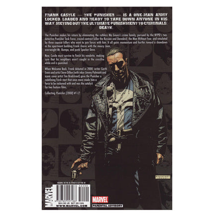 The Punisher: Welcome Back, Frank (Punisher (Unnumbered)) - TPB Paperback (ENGLISH EDITON)