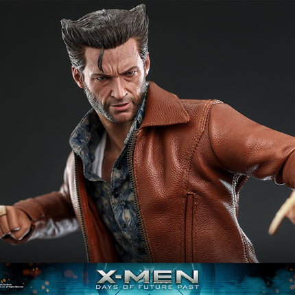 Wolverine 1973 ver. (Deluxe Version) Sixth Scale Figure (MMS660)
