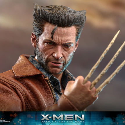 Wolverine 1973 ver. (Deluxe Version) Sixth Scale Figure (MMS660)