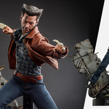 Wolverine 1973 ver. (Deluxe Version) Sixth Scale Figure (MMS660)